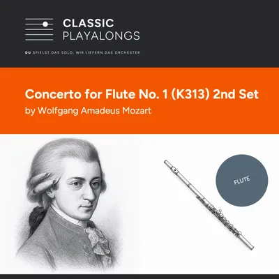 Konzert für Flöte und Orchester Nr. 1 - 2. Satz Adagio ma non Troppo