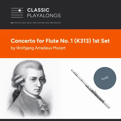 Konzert für Flöte und Orchester Nr. 1 - 1. Satz Allegro Maestoso